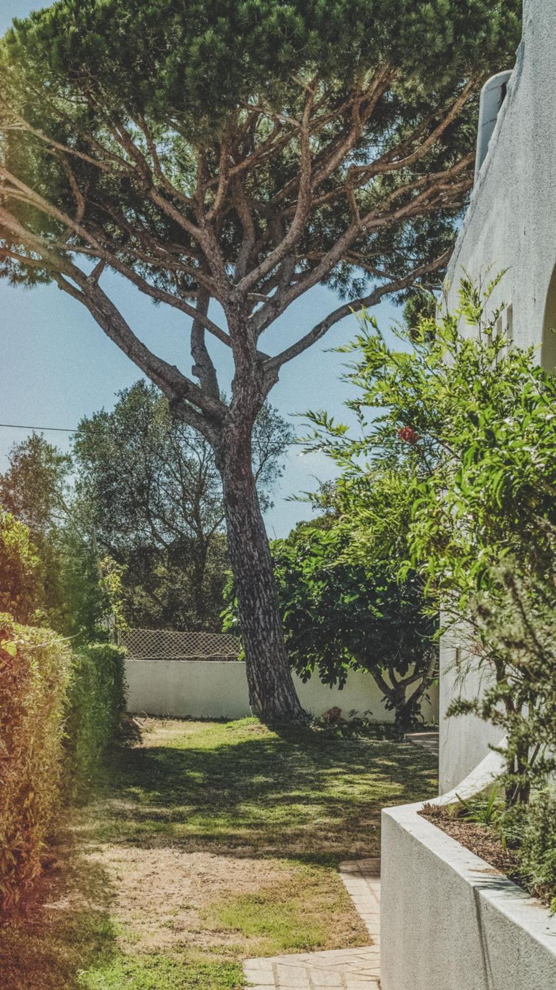 Pine House - Faro Airport, Beach And City Center Exteriör bild